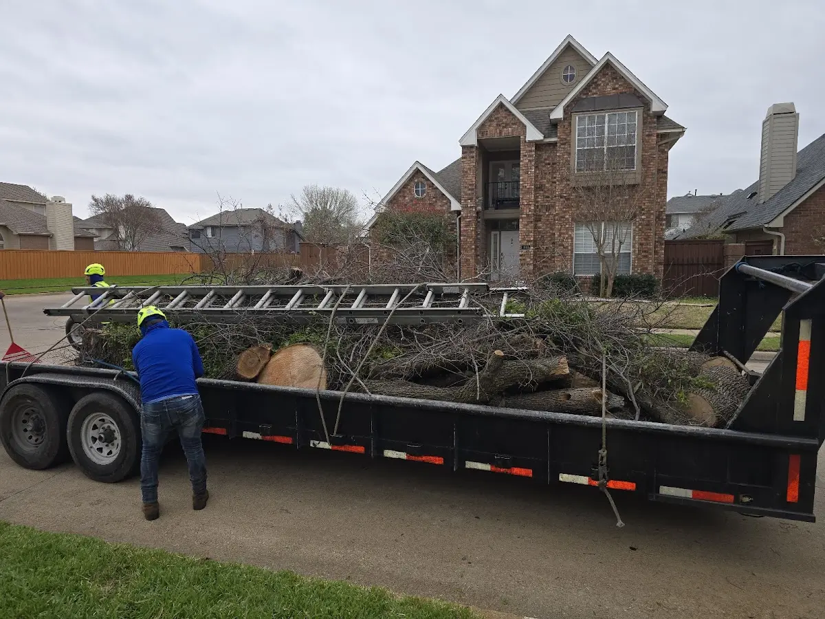 Expert Tree Fertilization with proper safety equipment in Shirleysburg